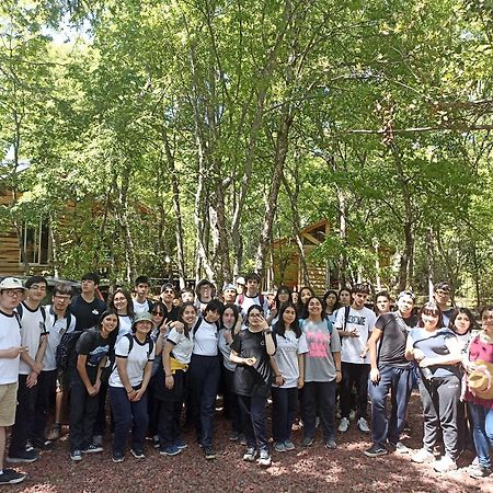 Cabanas Huilipan Las Trancas Bagian luar foto
