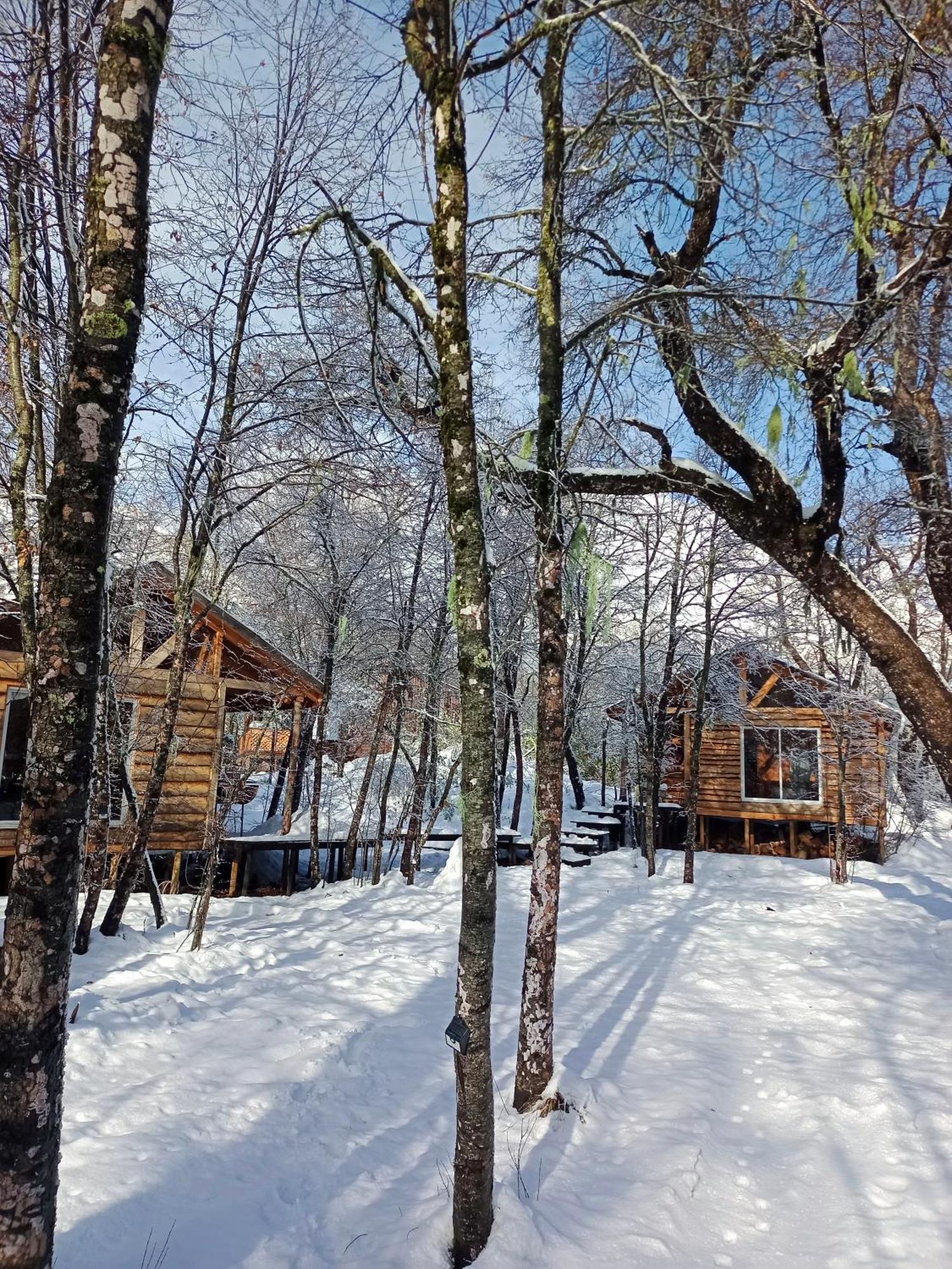 Cabanas Huilipan Las Trancas Bagian luar foto