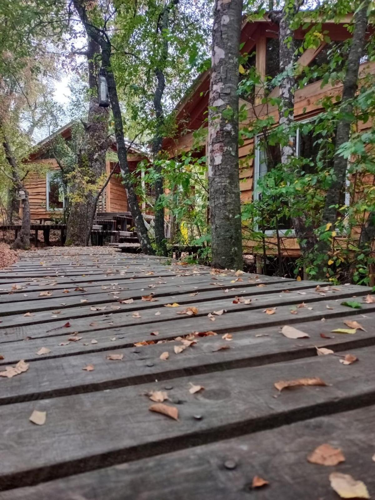 Cabanas Huilipan Las Trancas Bagian luar foto