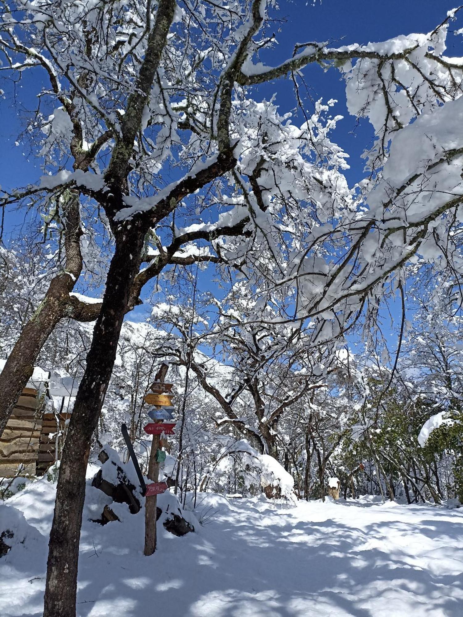 Cabanas Huilipan Las Trancas Bagian luar foto