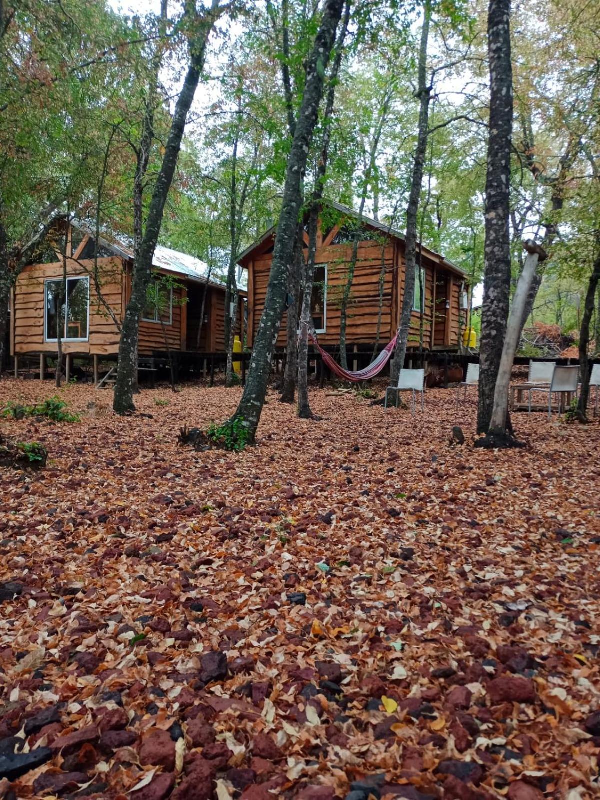 Cabanas Huilipan Las Trancas Bagian luar foto