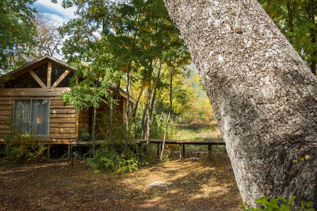 Cabanas Huilipan Las Trancas Bagian luar foto